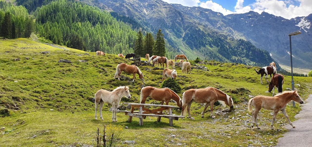 Gaestehaus Landhaus Tyrol Gries im Sellrain Exteriér fotografie