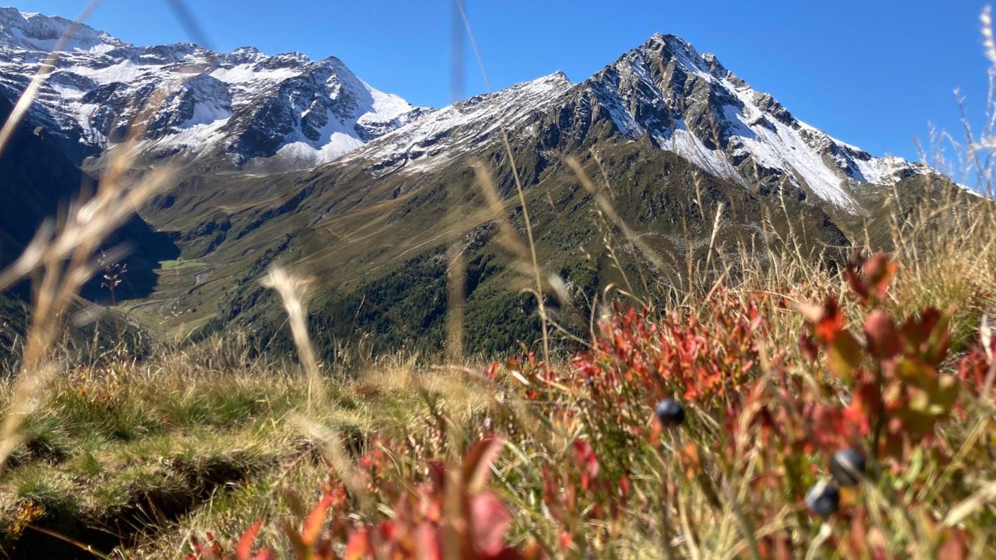 Gaestehaus Landhaus Tyrol Gries im Sellrain Exteriér fotografie