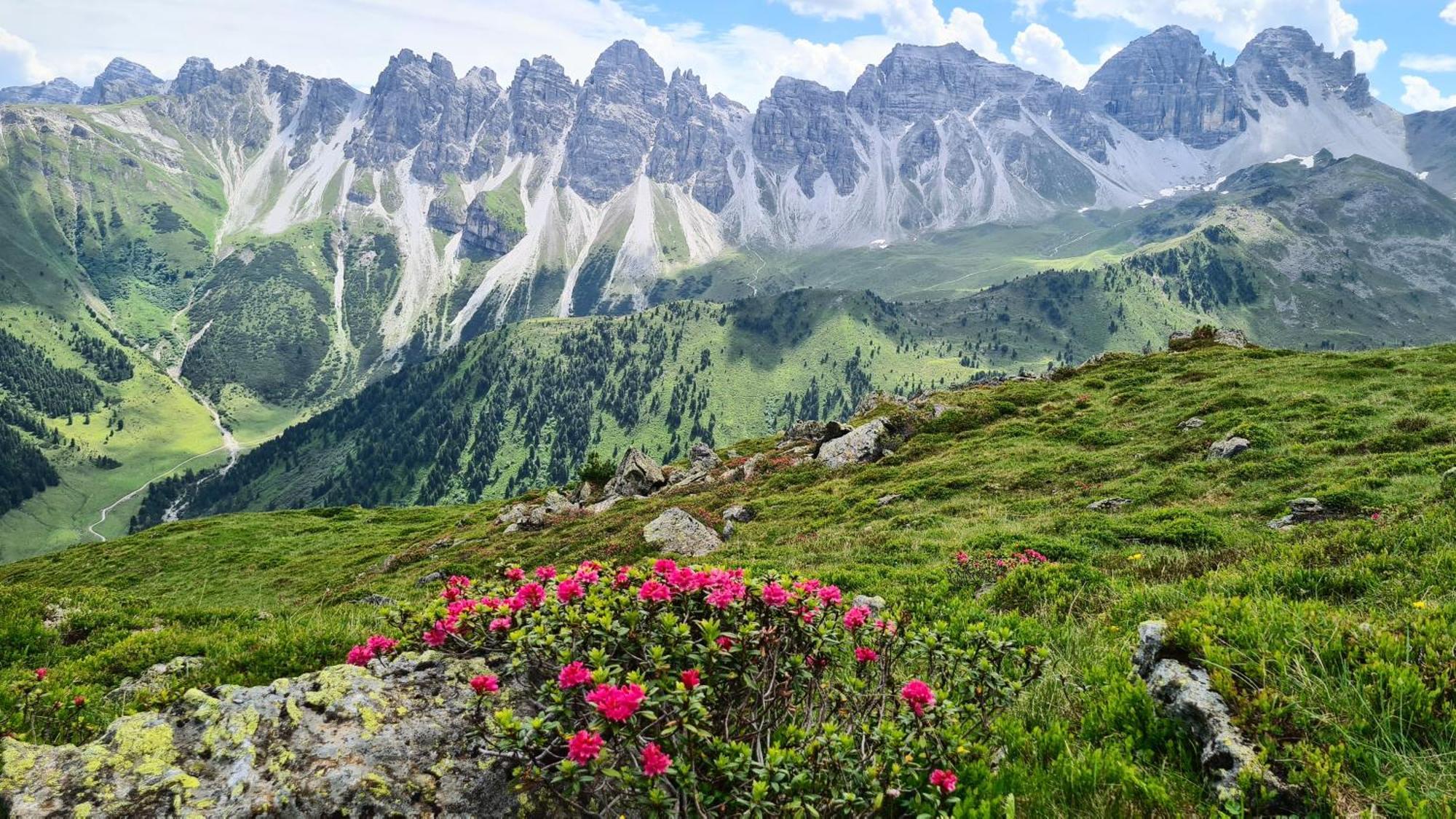 Gaestehaus Landhaus Tyrol Gries im Sellrain Exteriér fotografie