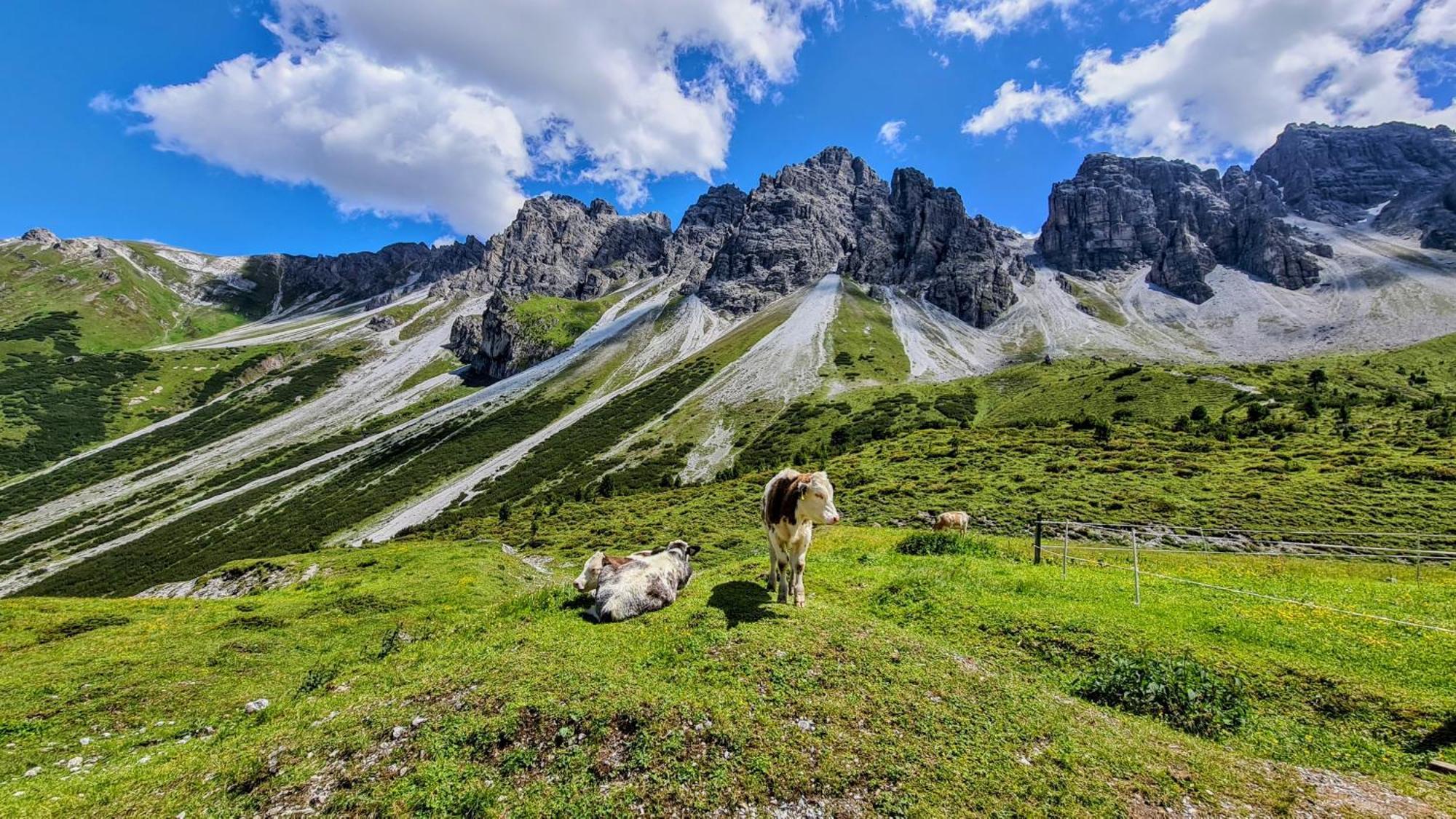 Gaestehaus Landhaus Tyrol Gries im Sellrain Exteriér fotografie