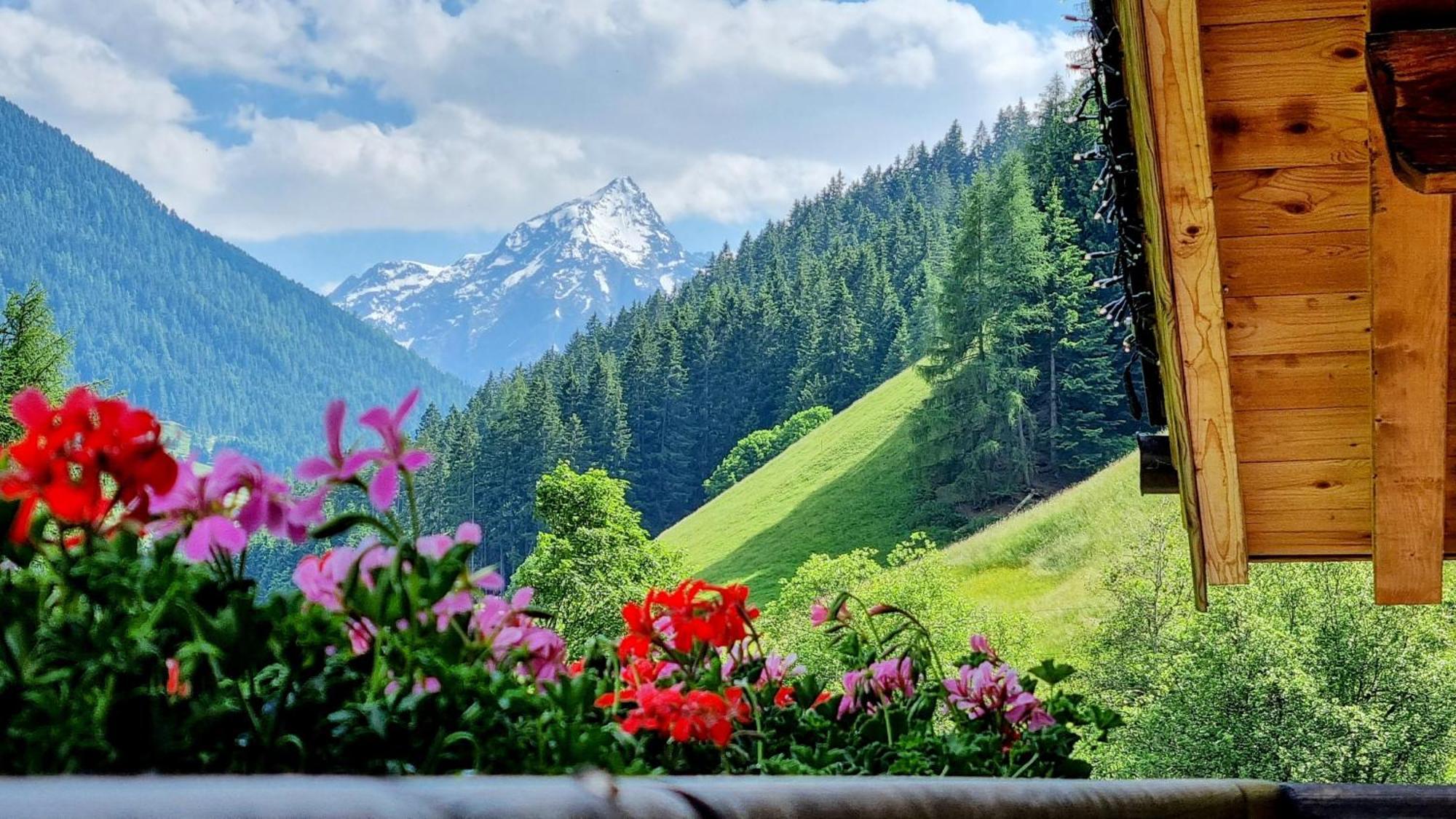 Gaestehaus Landhaus Tyrol Gries im Sellrain Exteriér fotografie